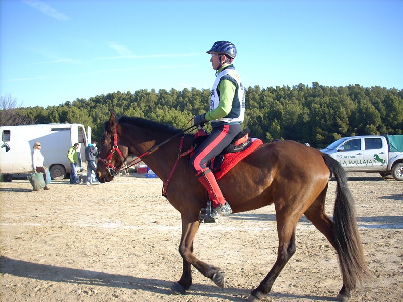 El jinete Navarro PACO AYESTARÁN, ganador del I Raid AGM en Zaragoza